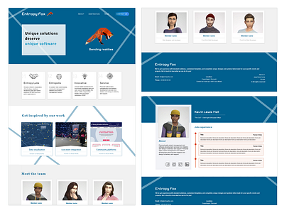 Entropyfox - development company website design.