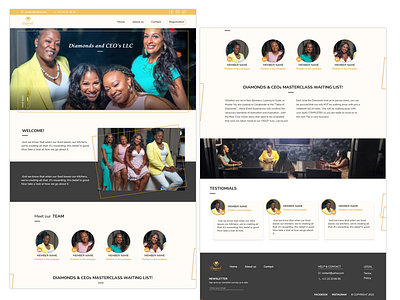 Diamonds & CEO's business - website design