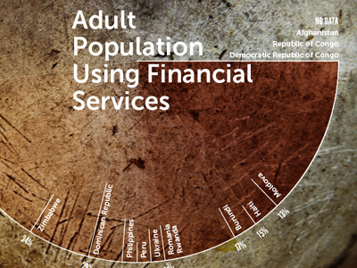 Annual Report Graphics infographic pie chart texture typography