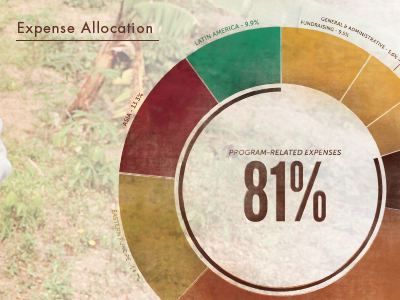 Annual Report Graphics infographic percentage pie chart print texture