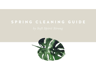 Spring Cleaning Guide cleaning earthy guide natural sans serif spring