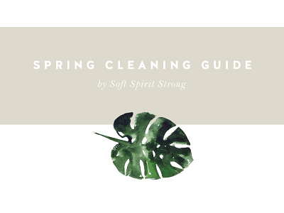 Spring Cleaning Guide