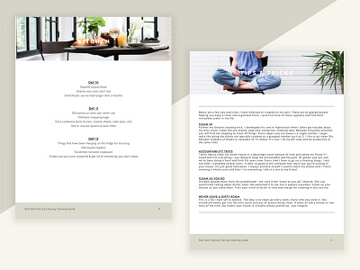 Spring Cleaning Guide 2 flat design guide minimalism print design