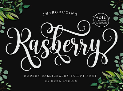 Rasberry branding graphic design logo motion graphics