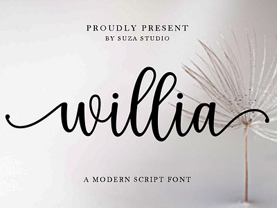 Willia A Modern Script Font