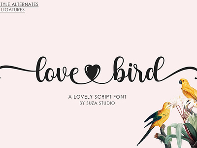 Love Bird A Lovely Script Font