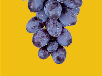 Grape Contrast art color palette design