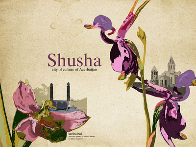 POSTER DESIGN - SHUSHA