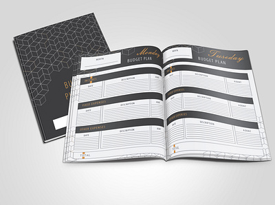 Buget planner disign background finance graphic design illustration magazine print design