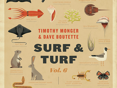 Surf & Turf Poster! animals encyclopedia field guide poster sea squid