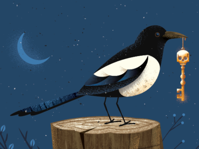 Sneaky Bird bird key magpie moon
