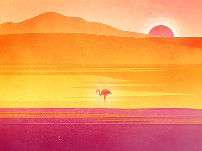 Flamingos，at twilight illustration