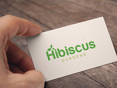 Hibiscus Logo Design