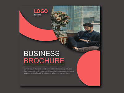 Business brochure