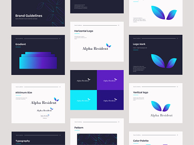 Brand Guidelines - Alpha Resident bran brand guidelines brand identity branding design graphic design illustration logo