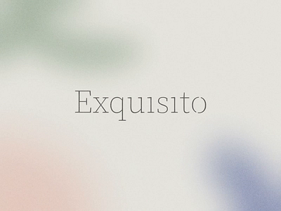 Exquisito - Logo Design animation brand guidelines brand identity branding graphic design logo minimalist motion graphics