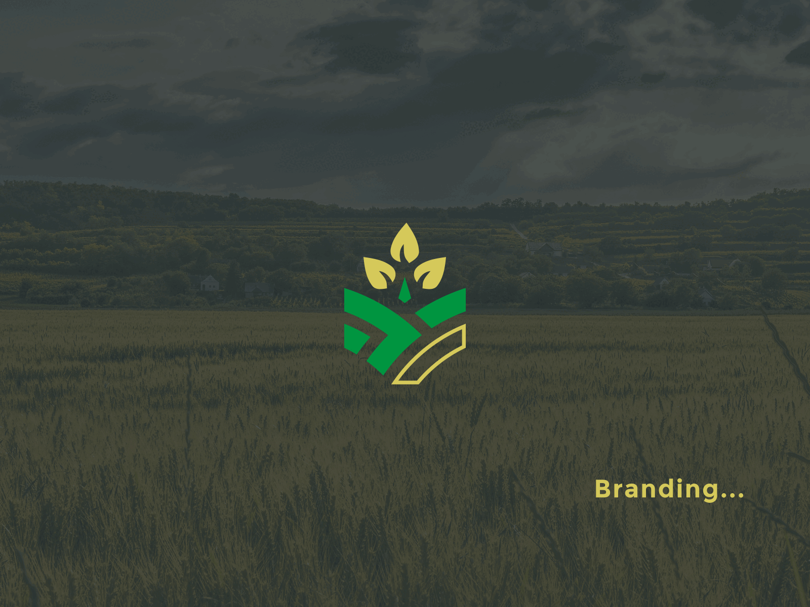 Umaer Trade | Agriculture | Branding identity Design by MD Foysal ...
