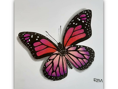 Butterfly art artist butterfly color color art color pencil coloring colourful design designer draw my art pencil art sketch