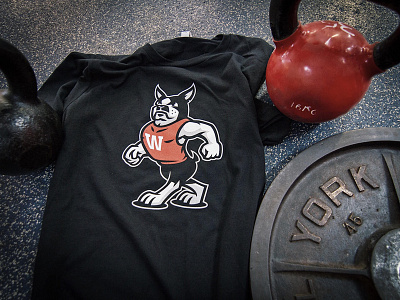 Wareing's Gym Boston Terrier Athletic Mascot