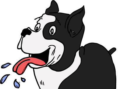 Boston Terrier bostonterrier dog dog illustration illustration sticker t shirt terrier