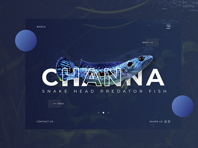 CHANNA branding ui