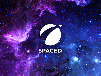 SPACED - Brand Concept brand epicurrence logo spacedchallenge