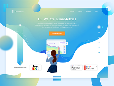 LunaMetrics Visual Exploration abovethefold analytic design hosting illustration landingpage lunametric uiux