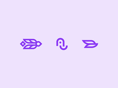 Icon Explorations