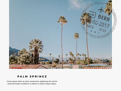 palm springz branding design typography