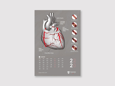 Calendar design base on Medical/ Health (Clients projects) 2022 calendar design banner design calendar design
