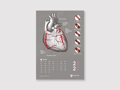 Calendar design base on Medical/ Health (Clients projects)