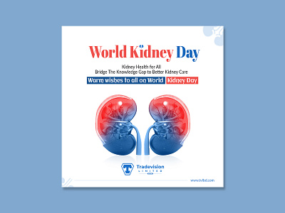 Social media post design | World kidney day social media ads