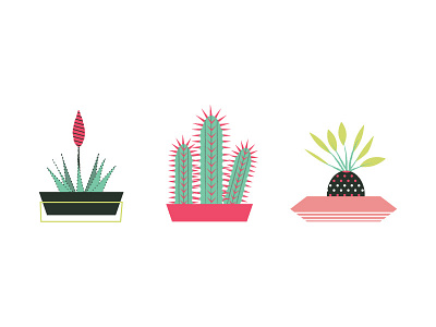Succulent Party botany cactus flower illustration killer infographics plant poster succulent