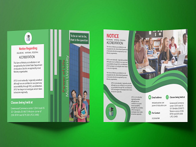 Educational Bifold Brochure Design