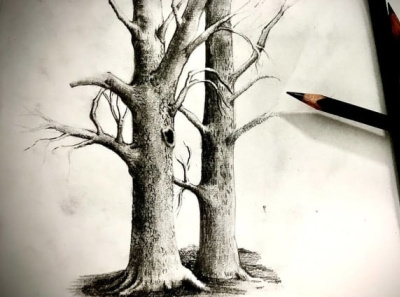 trees sketch. design drawing illustration pencil sketch