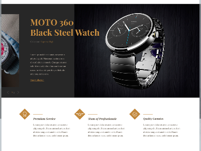 Best Selling Ecommerce Templates ebay ecommerce fashion gold gothic landing template ui ux watch