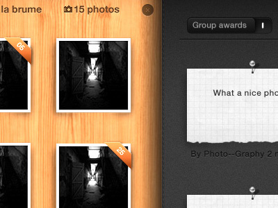 Flickr Manage'r flickr ipad skeumorphic ui