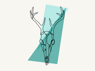Skulls are beautiful antler continuous line deer drawing geometric illustration line print single line skull study triangle