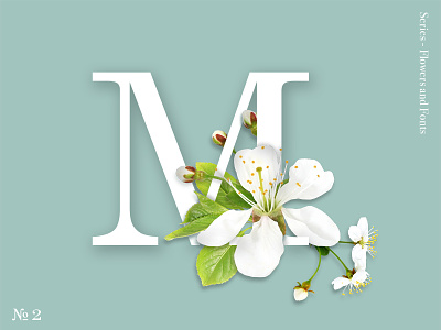 M blossom century cherry floral flower font kitsch letter lettering m spring typo