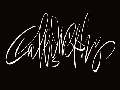 calligraphy brush calligraphy design experiment handwritten letters procreate