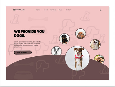 Dog website(hero section) chocolate design dog dog website pro product design ui uiux ux website