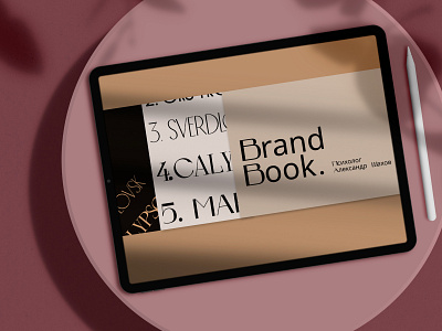 Brand Book branding design ui ux