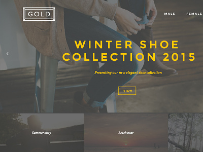 Gold Clothing branding website