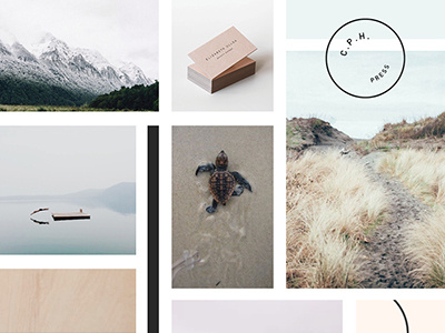 Mood Board: Dennelly Design authentic exploration growth mood board serene simple