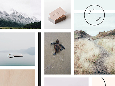 Mood Board: Dennelly Design