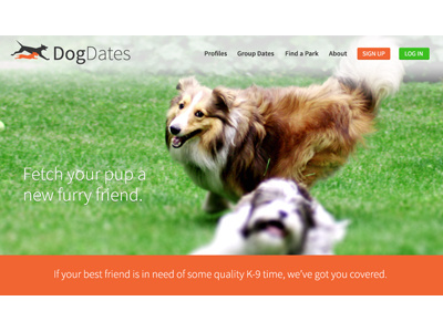 DogDates dog dogs green homepage orange play date pup puppy skillshare startup website