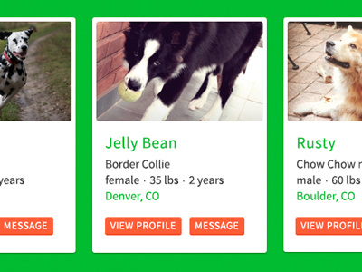 DogDates 2 dog dogs green homepage orange play date pup puppy skillshare startup website