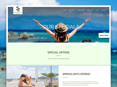 Greece Hotel Specials Page Website Design For Nastasia Village