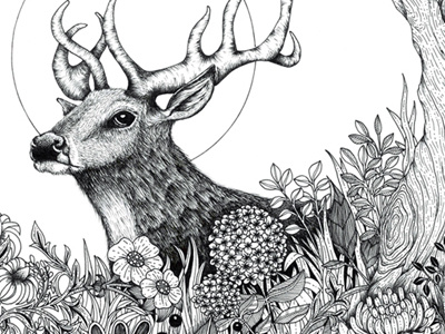 Out of the woods deer drawing hand drawn illustration monochrome nature