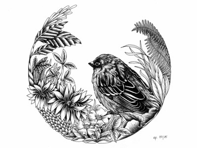 Sparrow black drawing hand drawn illustration monochrome nature sparrow